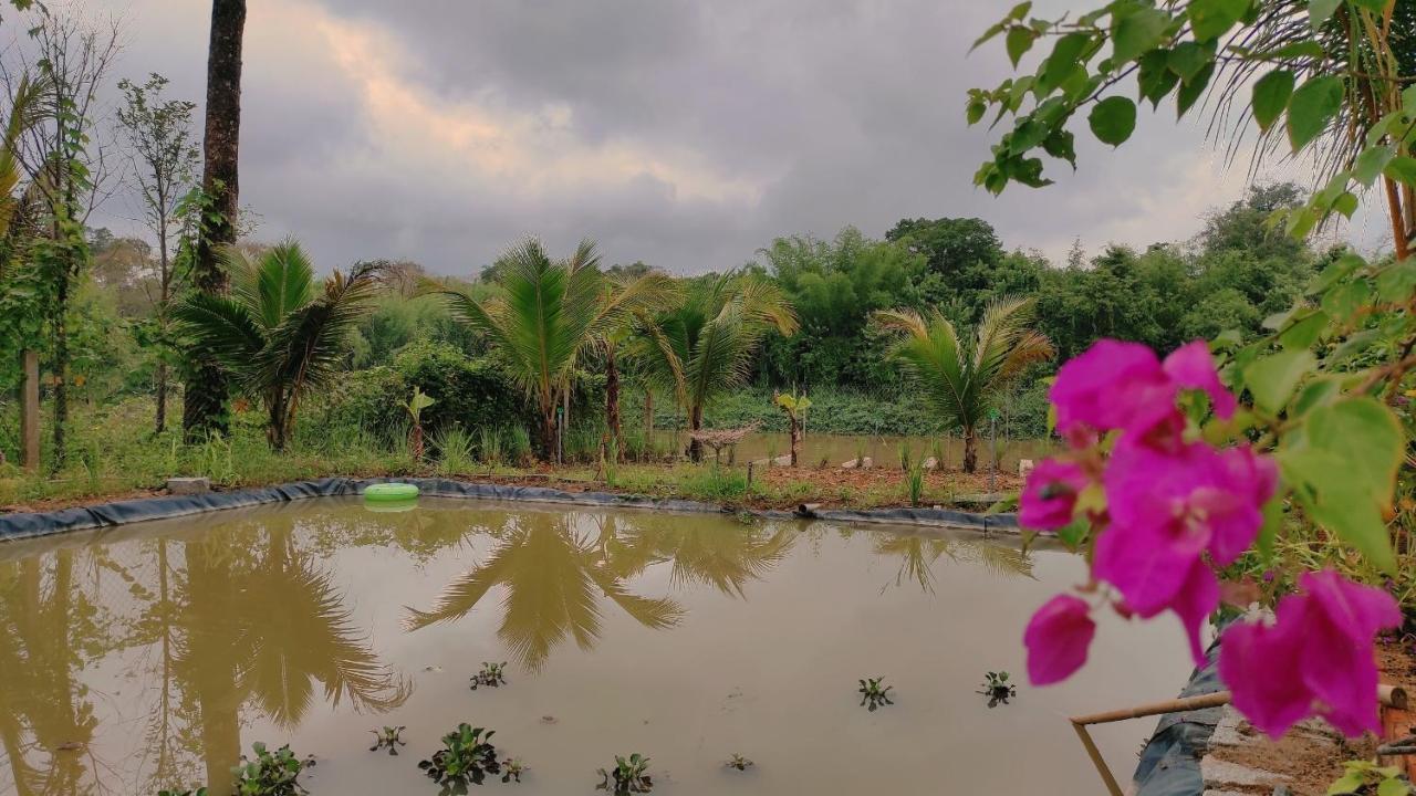 Homestay Dat Viet Cat Tien Exterior foto